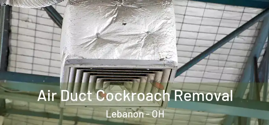  Air Duct Cockroach Removal Lebanon - OH