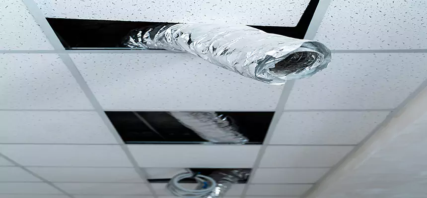 Affordable HVAC Sanitizing After Pest Removal in Lebanon