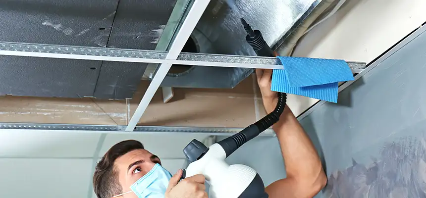 Our Air Duct Rodent Removal Services in Lebanon, OH