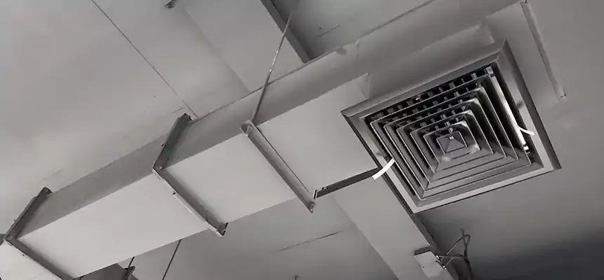 Our Rodent Droppings In Vents Services in Lebanon, OH