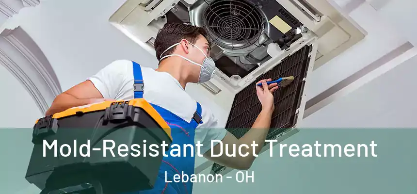  Mold-Resistant Duct Treatment Lebanon - OH