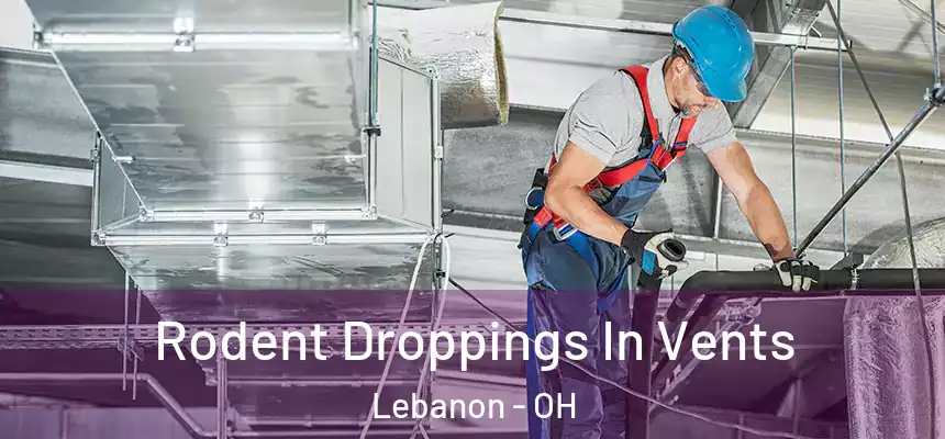  Rodent Droppings In Vents Lebanon - OH