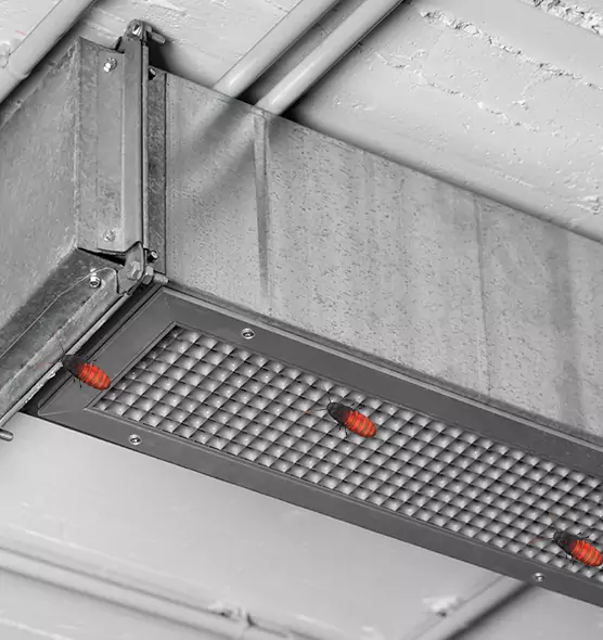 About Air Duct Cockroach Removal in Lebanon, OH