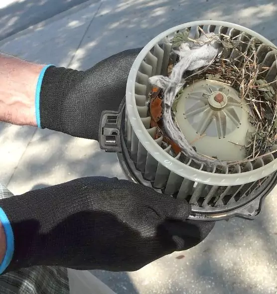 About Air Duct Mice Removal in Lebanon, OH