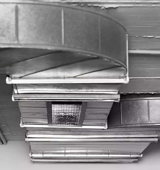 Professional Air Duct Pest Removal in Lebanon, OH