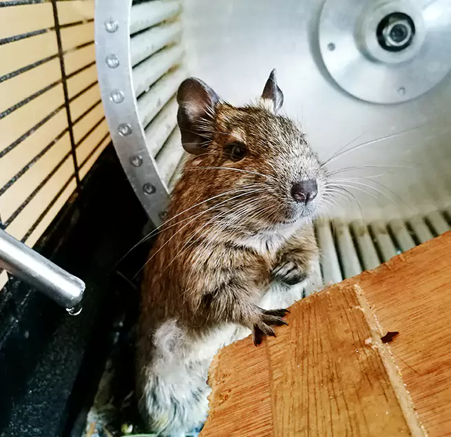 Why Homeowners & Businesses Trust Us Lebanon, OH